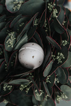 Load image into Gallery viewer, Flower Market | Eucalyptus