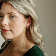Load image into Gallery viewer, Crystal Hoop Earrings